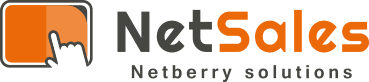 Logotipo de Netsales, de Netberry Solutions